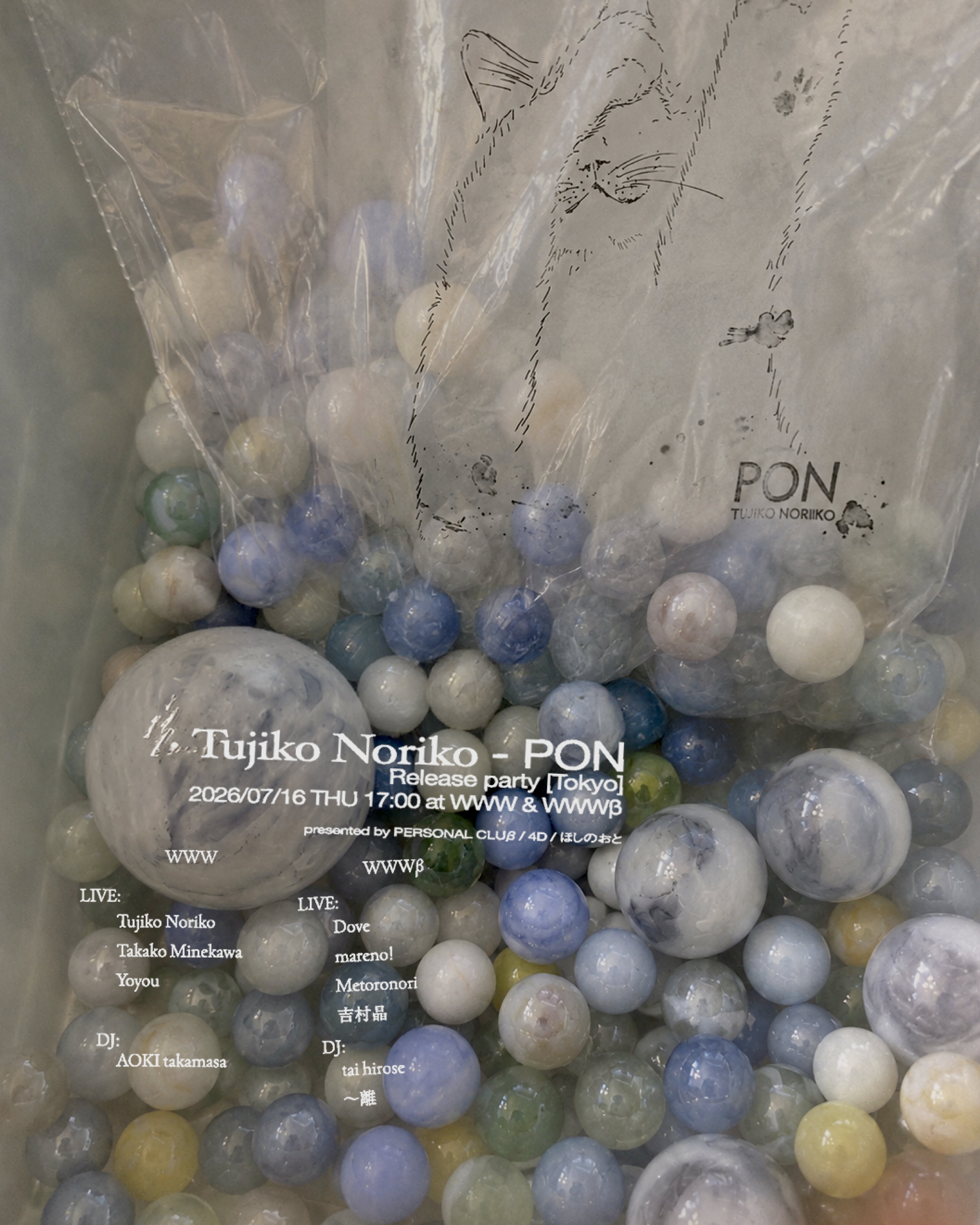 LIVE: Tujiko Noriko / Takako Minekawa / Yoyou DJ: AOKI takamasa  WWWβ  LIVE: Dove / mareno! / Metoronori / 吉村晶  DJ: tai hirose / 〜離