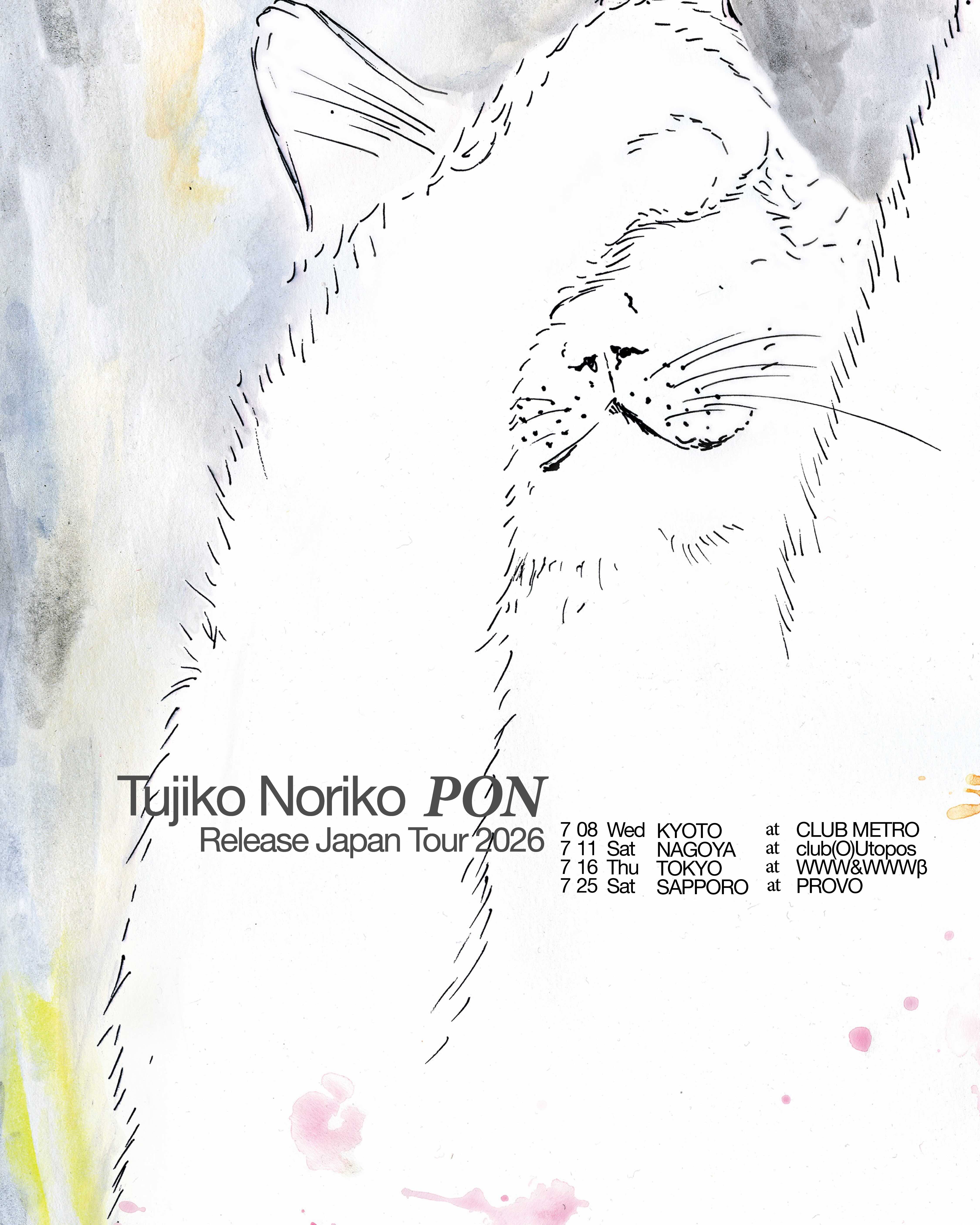 LIVE:  Tujiko Noriko / Takako Minekawa DJ: AOKI takamasa and more