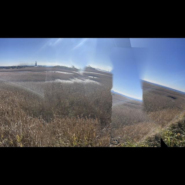 vq - 11 mirror 93.jpg