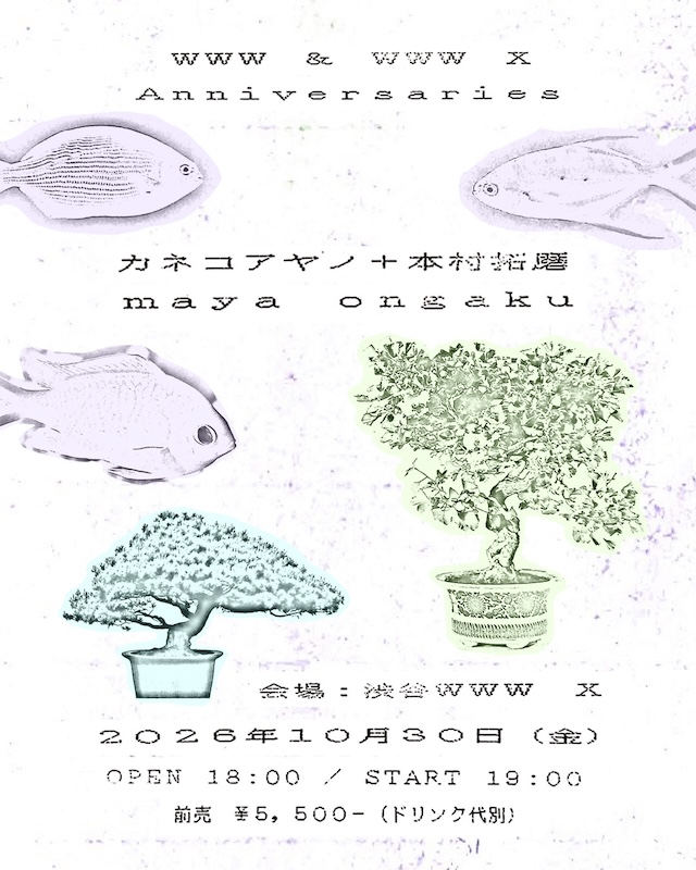 カネコアヤノ+本村拓磨 / maya ongaku